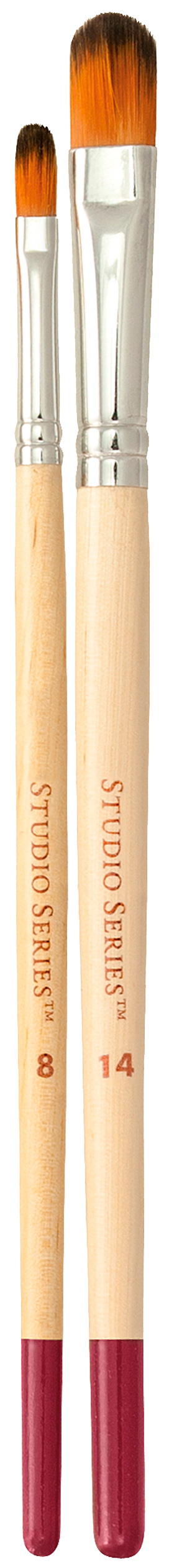 Studio Series Artist's Paintbrush Set of 12