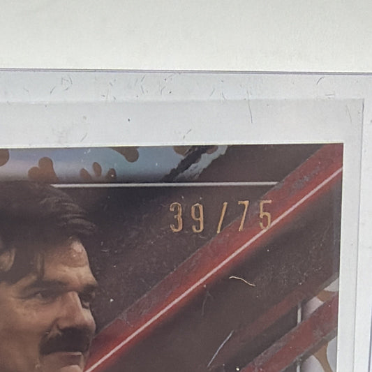 Detail of Rob Delaney Peter Dogpool Refractor autograph showing the 39/75 serial number