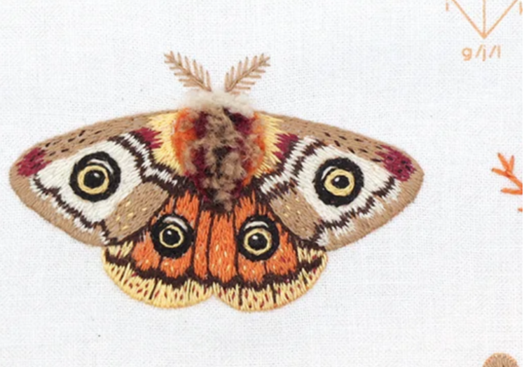 Moth Embroidery Stitch Sampler