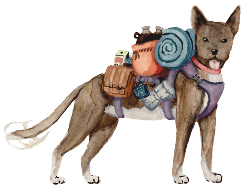 Guatemala, Medium -12oz whole bean