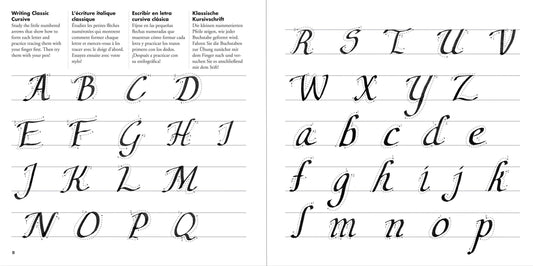 calligraphy starter kit, beginner calligraphy set, hand lettering kit, calligraphy pens and nibs, ink cartridge calligraphy set, calligraphy kit for teens and adults, learn calligraphy at home, modern calligraphy supplies, calligraphy gift set, pen and nib set, writing set with ink, calligraphy kit with instructions, brush and script lettering tools