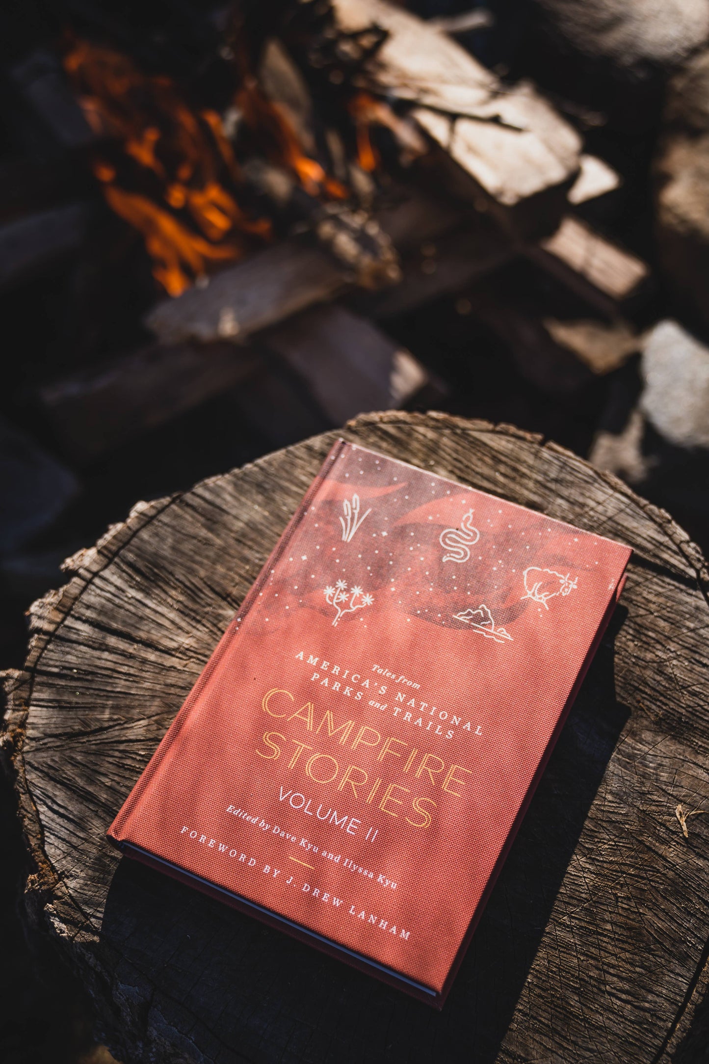 campfire stories volume ii, national parks storytelling book, modern nature writing, diverse voices in nature, bipoc lgbtq nature writers, contemporary campfire tales, poetry and folklore national parks, campfire stories anthology, trail stories and reflections, essays about national parks, stories from american wilderness, campfire reading collection, national park inspired literature, outdoor storytelling book, national parks prose and poetry