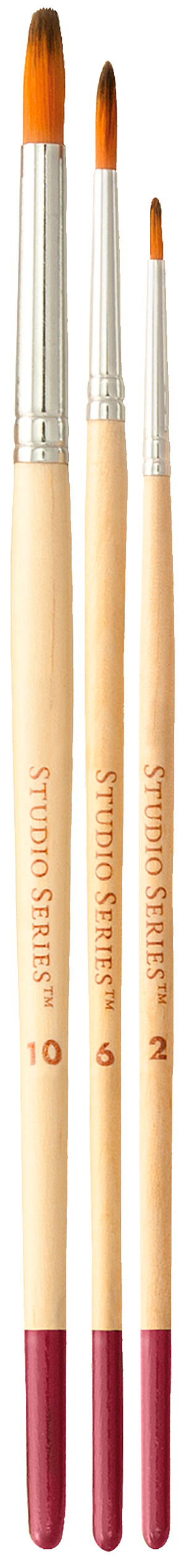 Studio Series Artist's Paintbrush Set of 12