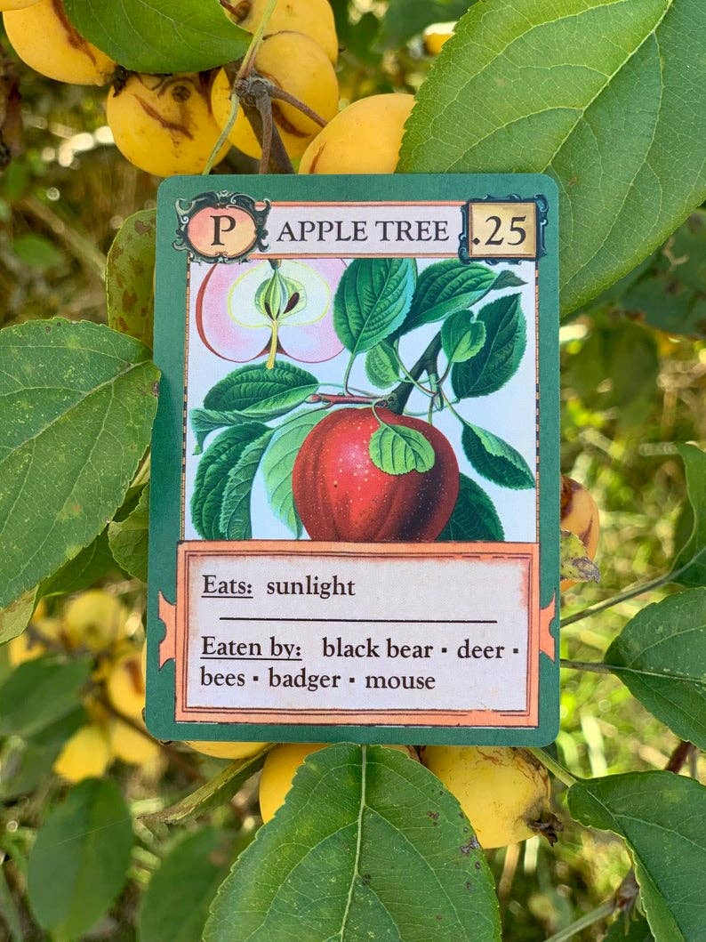 Ecologies card game, educational ecology game, food web game, science strategy card game, biology classroom game, homeschool science activity, ecosystem board game, nature card game, environmental science game, biology teaching tools