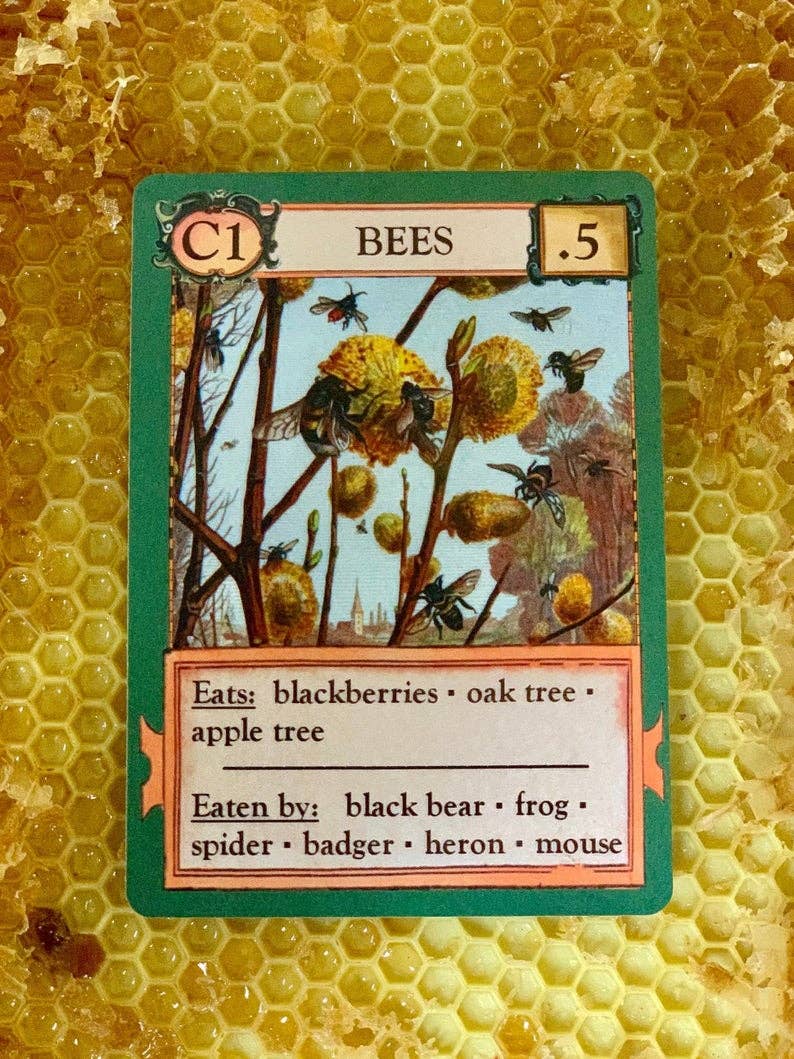 Ecologies card game, educational ecology game, food web game, science strategy card game, biology classroom game, homeschool science activity, ecosystem board game, nature card game, environmental science game, biology teaching tools