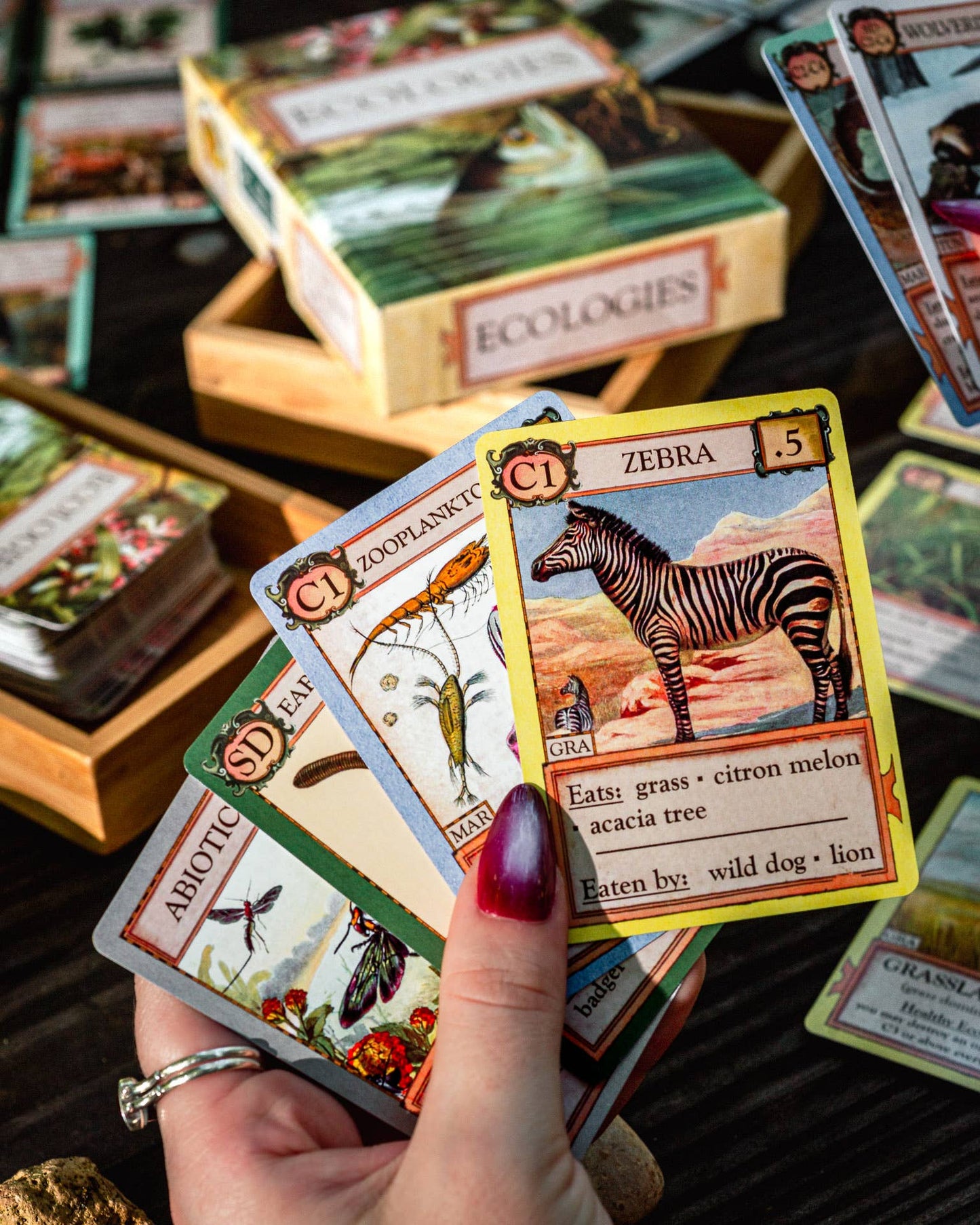 Ecologies card game, educational ecology game, food web game, science strategy card game, biology classroom game, homeschool science activity, ecosystem board game, nature card game, environmental science game, biology teaching tools