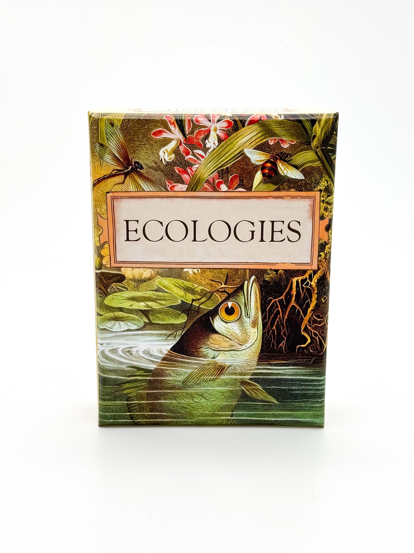 Ecologies card game, educational ecology game, food web game, science strategy card game, biology classroom game, homeschool science activity, ecosystem board game, nature card game, environmental science game, biology teaching tools