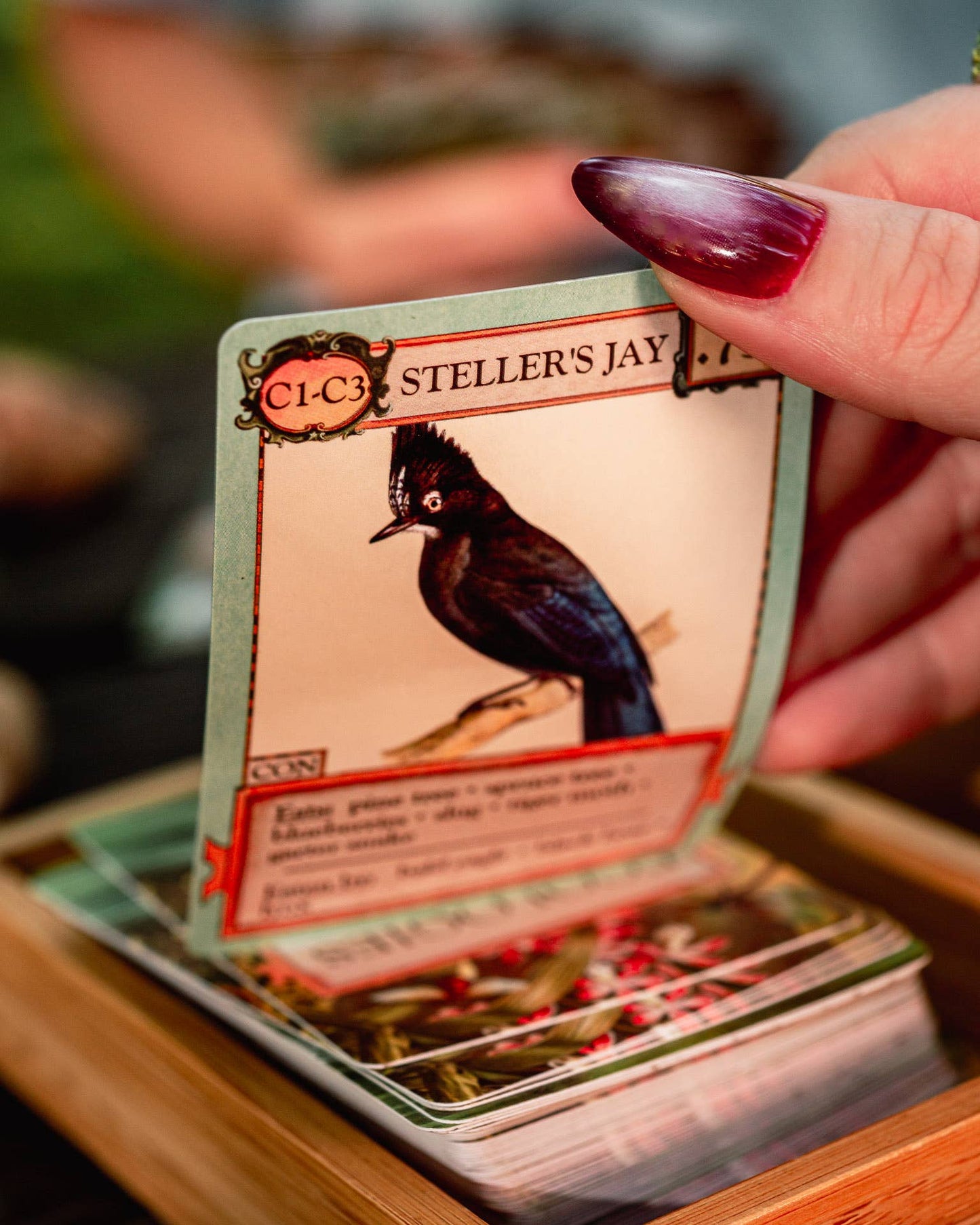 Ecologies card game, educational ecology game, food web game, science strategy card game, biology classroom game, homeschool science activity, ecosystem board game, nature card game, environmental science game, biology teaching tools