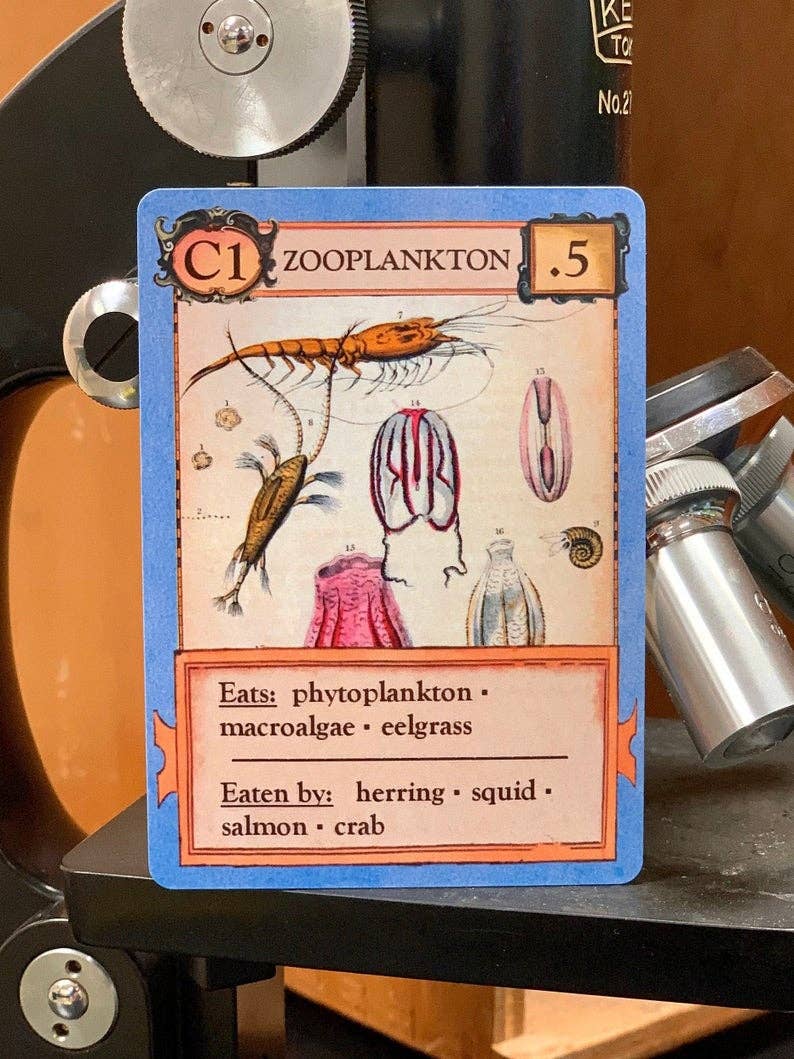Ecologies card game, educational ecology game, food web game, science strategy card game, biology classroom game, homeschool science activity, ecosystem board game, nature card game, environmental science game, biology teaching tools
