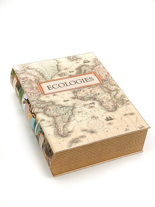 Ecologies card game organizer, faux book box card storage, vintage book game organizer, poker card storage box, ecological card game accessory, tuck box storage container, magnetic closure card holder, deck box for Ecologies games, antique map book box, card game collector case, stylish card deck organizer