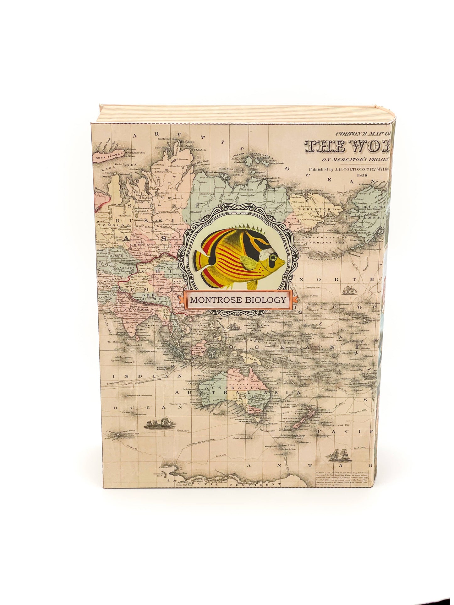 Ecologies card game organizer, faux book box card storage, vintage book game organizer, poker card storage box, ecological card game accessory, tuck box storage container, magnetic closure card holder, deck box for Ecologies games, antique map book box, card game collector case, stylish card deck organizer
