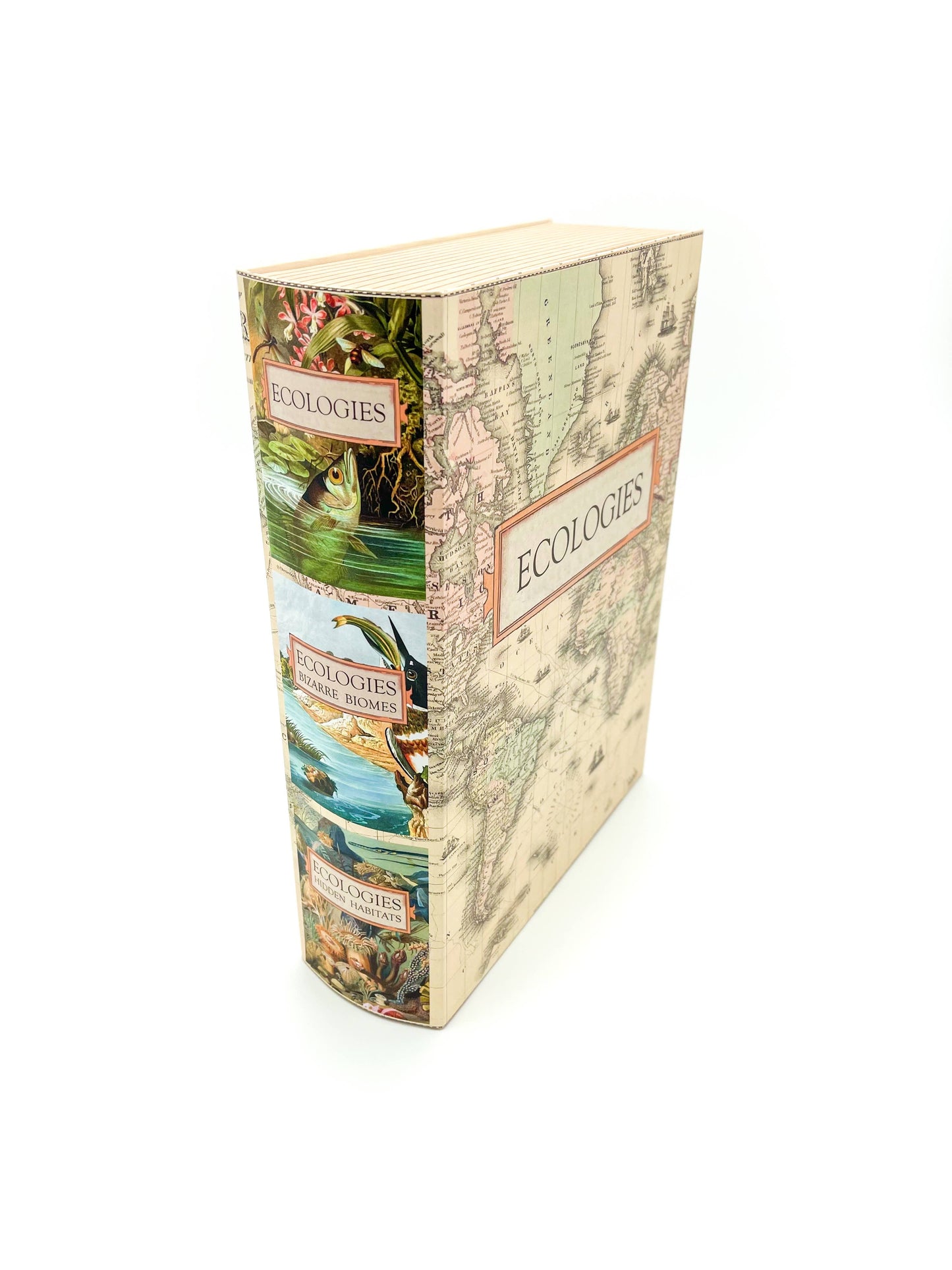 Ecologies card game organizer, faux book box card storage, vintage book game organizer, poker card storage box, ecological card game accessory, tuck box storage container, magnetic closure card holder, deck box for Ecologies games, antique map book box, card game collector case, stylish card deck organizer
