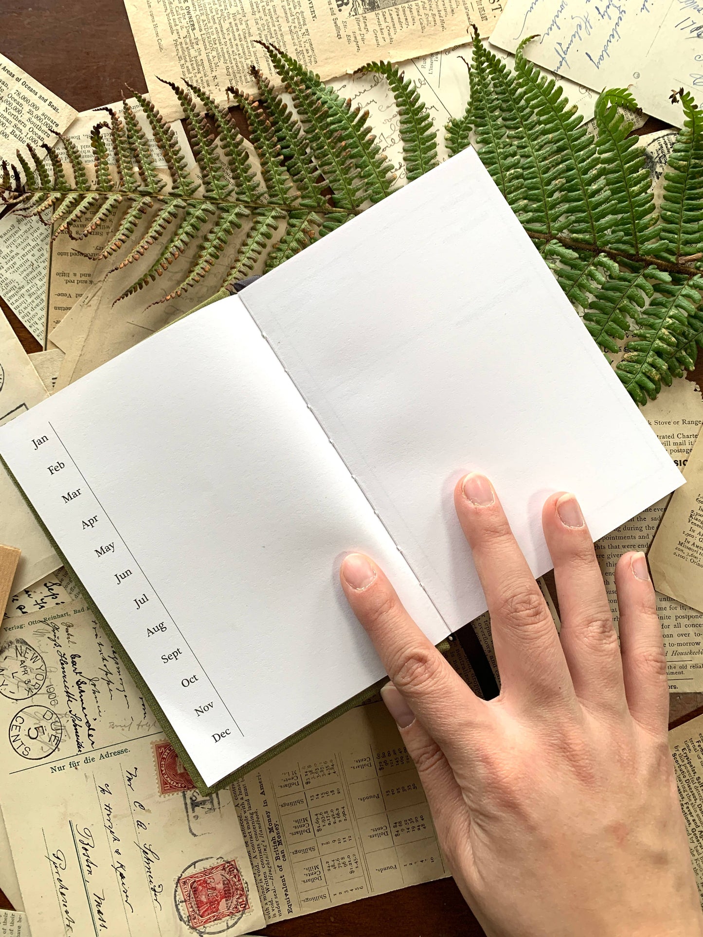 foraging journal A6, pocket RPG notebook, green field notebook, forager logbook, journaling for DnD characters, character tracking notebook, nature journal A6, spore print notebook, field notes RPG accessory, best A6 notebook for fountain pens