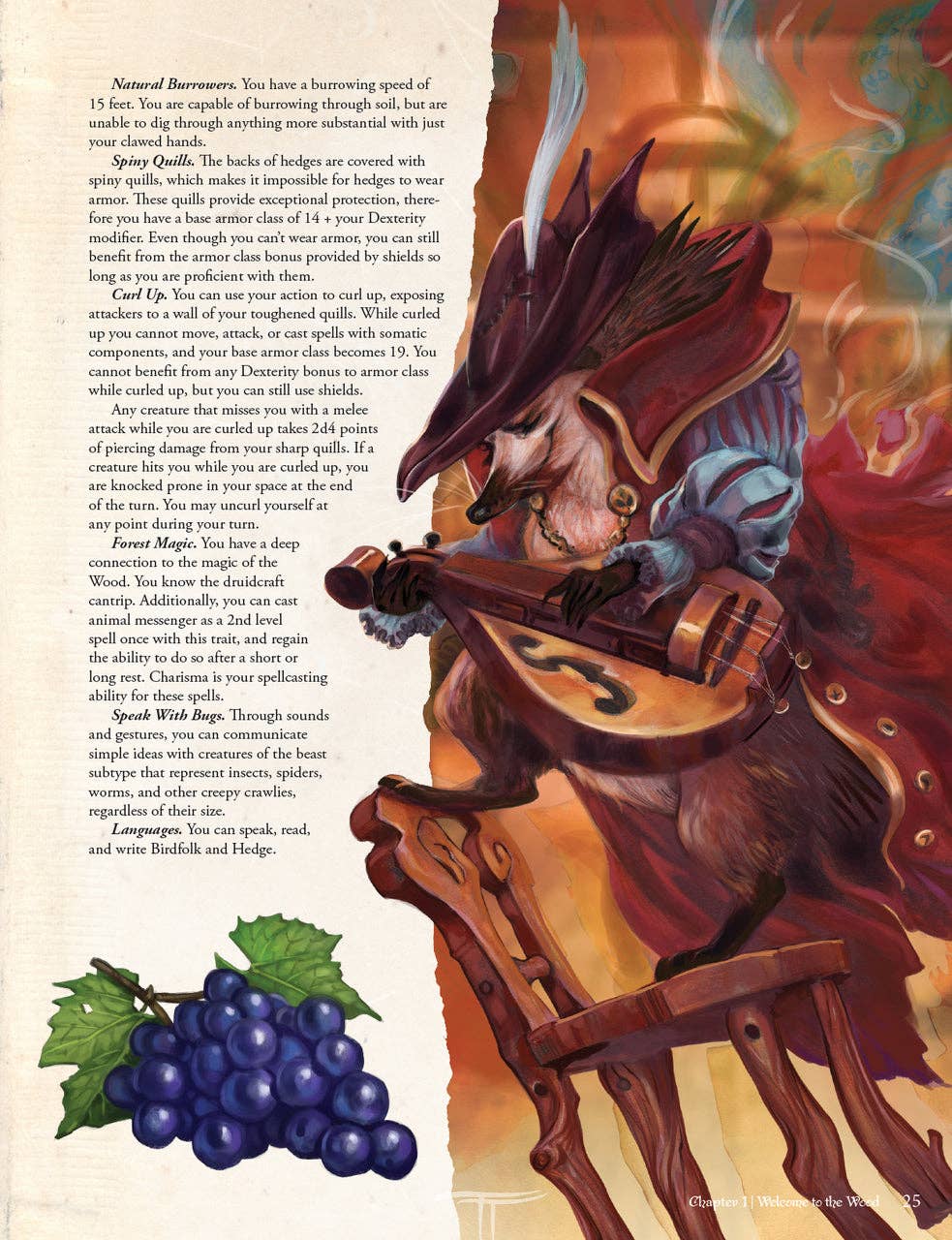 Humblewood campaign setting book, Humblewood hardcover 5e, Hit Point Press Humblewood book, 5e campaign world Everden, Great Tree City Alderheart, birdfolk and humblefolk DnD, new DnD playable races, DnD forest fire adventure, 5e adventures level 1 to 5, Humblewood RPG sourcebook