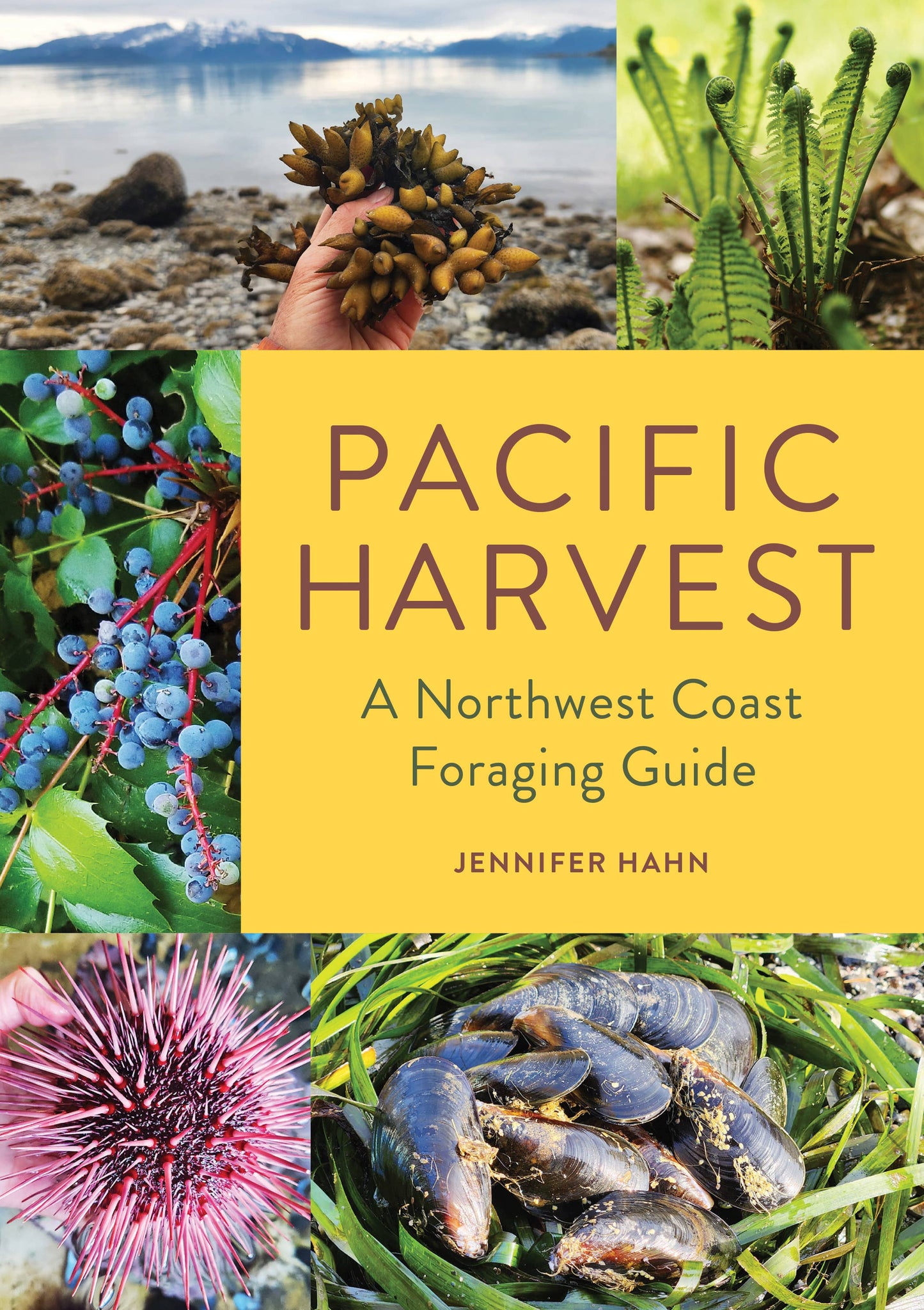 pacific harvest foraging guide, northwest coast edible plants, jennifer hahn foraging book, coastal foraging pacific northwest, wild food recipes northwest, edible seaweeds and beach greens, mushroom and berry foraging, sustainable wild harvesting book, coastal edible plant identification, foraging book with recipes, shellfish foraging guide, wild food cookbook, pnw foraging manual, edible species field guide, northwest foraging with photos