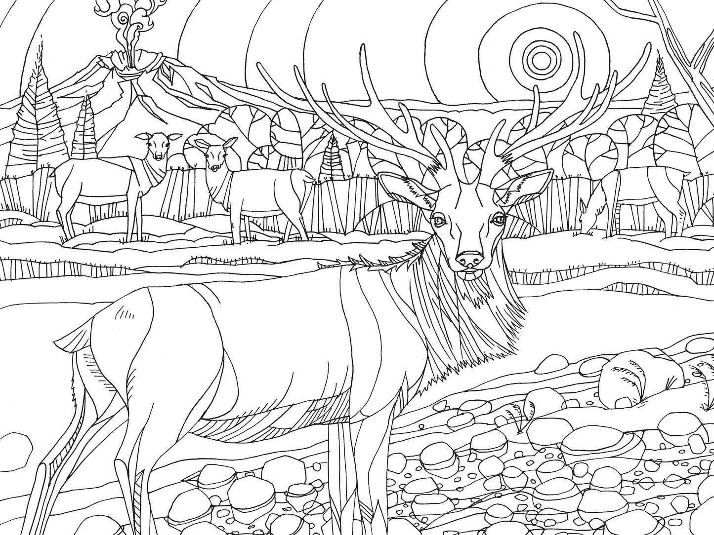 pacific northwest coloring book, nature coloring book for adults, pnw flora and fauna coloring, national park coloring book, travel coloring book for nature lovers, compact coloring book, adult mindfulness coloring, camping coloring book, hiking activity book, scenic coloring book pnw, wildlife coloring book, outdoor adventure coloring, stress relief nature coloring, portable nature coloring book, black and white line art coloring