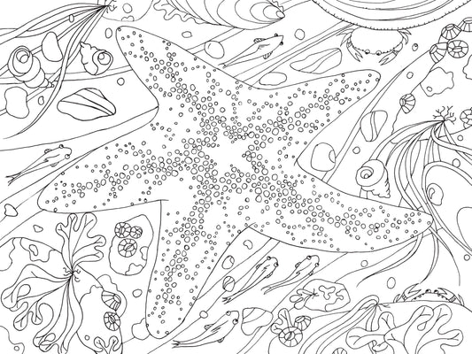 pacific northwest coloring book, nature coloring book for adults, pnw flora and fauna coloring, national park coloring book, travel coloring book for nature lovers, compact coloring book, adult mindfulness coloring, camping coloring book, hiking activity book, scenic coloring book pnw, wildlife coloring book, outdoor adventure coloring, stress relief nature coloring, portable nature coloring book, black and white line art coloring