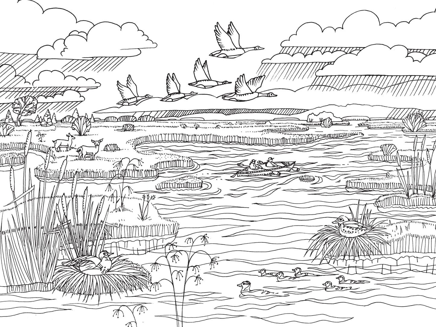 pacific northwest coloring book, nature coloring book for adults, pnw flora and fauna coloring, national park coloring book, travel coloring book for nature lovers, compact coloring book, adult mindfulness coloring, camping coloring book, hiking activity book, scenic coloring book pnw, wildlife coloring book, outdoor adventure coloring, stress relief nature coloring, portable nature coloring book, black and white line art coloring