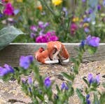 Sleepy fawn needle felting kit, woodland animal craft kit, beginner 3D needle felting, deer and robin felting kit, The Crafty Kit Company Scotland, Corriedale wool craft kit, sustainable needle felting, relaxing DIY animal project, handmade woodland decor, felted fawn gift idea