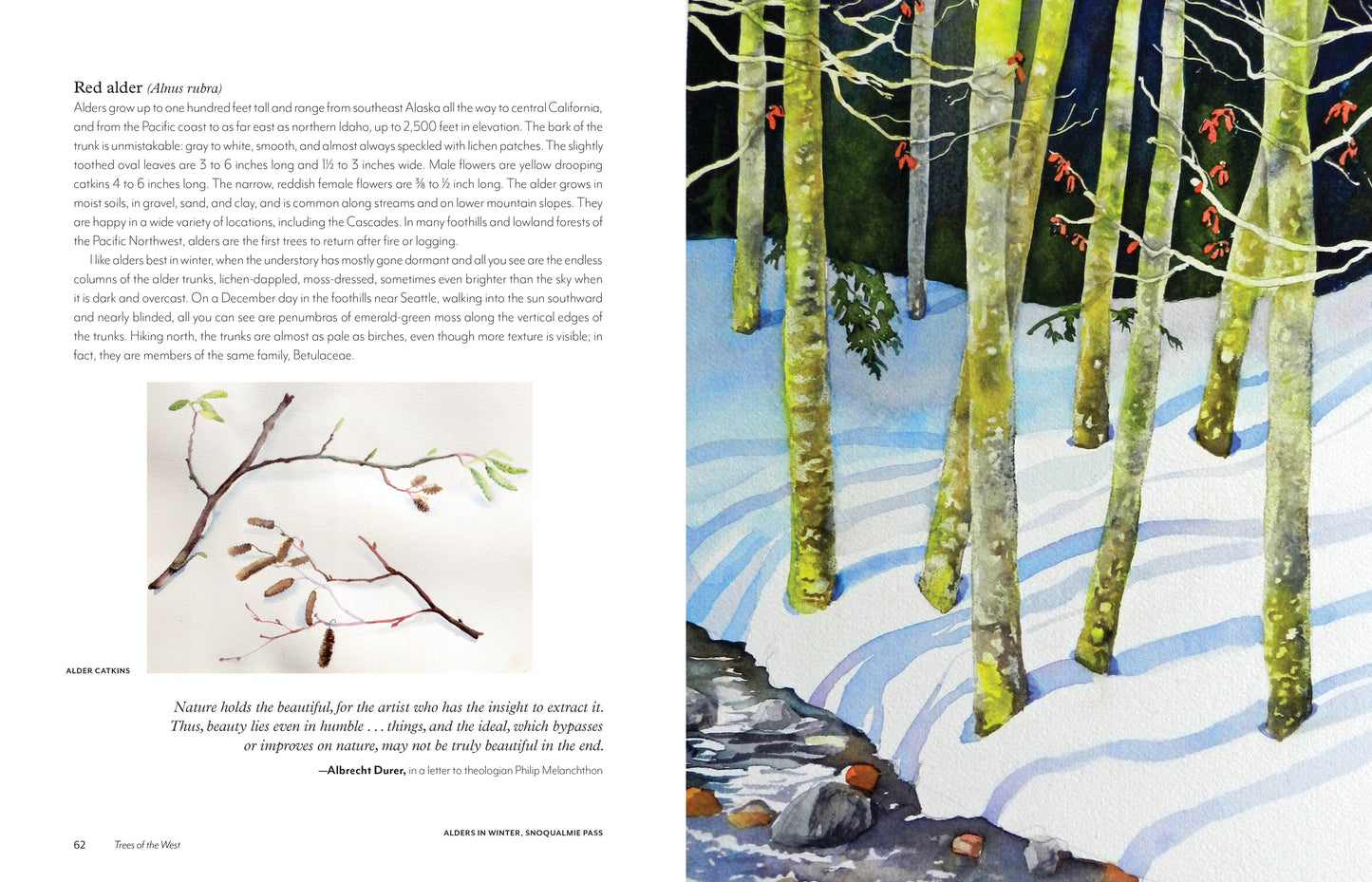 trees of the west book, artist guide to western trees, illustrated tree book, tree identification with art, natural history of trees, ethnobotanical tree guide, watercolor tree illustrations, tree sketchbook reference, art book for nature lovers, tree poetry and quotes, western north america trees, botanical art guide, drawing trees reference, tree field guide with drawings, trees and art connection