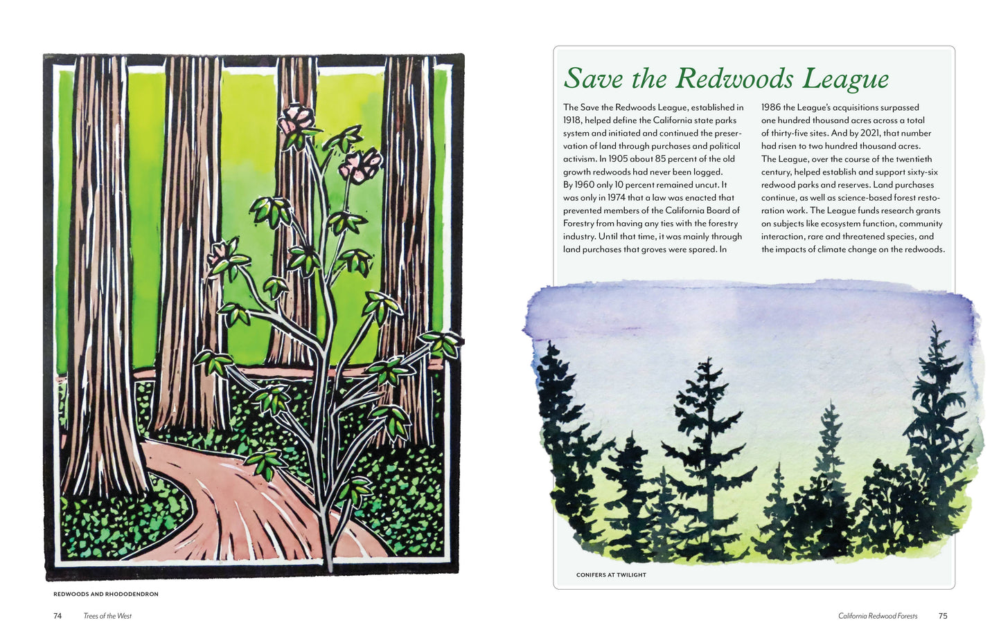 trees of the west book, artist guide to western trees, illustrated tree book, tree identification with art, natural history of trees, ethnobotanical tree guide, watercolor tree illustrations, tree sketchbook reference, art book for nature lovers, tree poetry and quotes, western north america trees, botanical art guide, drawing trees reference, tree field guide with drawings, trees and art connection