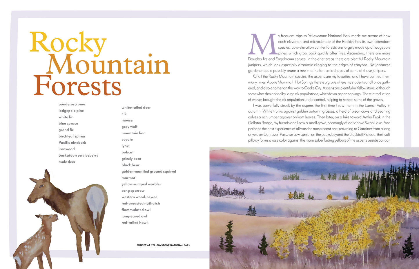 trees of the west book, artist guide to western trees, illustrated tree book, tree identification with art, natural history of trees, ethnobotanical tree guide, watercolor tree illustrations, tree sketchbook reference, art book for nature lovers, tree poetry and quotes, western north america trees, botanical art guide, drawing trees reference, tree field guide with drawings, trees and art connection