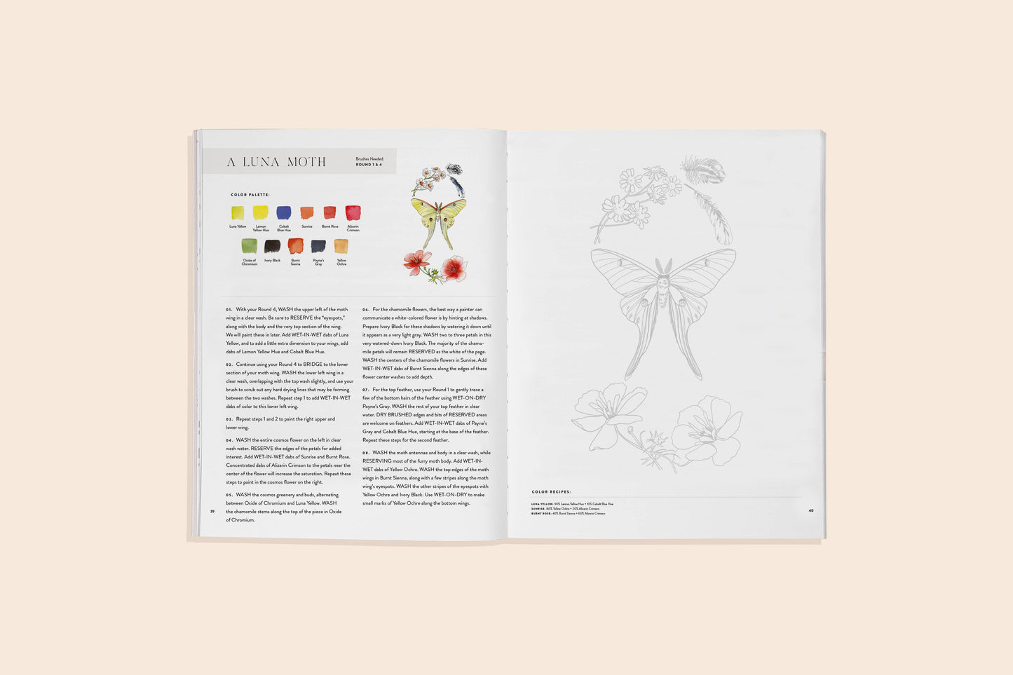 animal watercolor workbook, watercolor animals book, Sarah Simon watercolor guide, beginner watercolor animals, paint-in watercolor workbook, watercolor painting for adults, floral animal art projects, nature watercolor practice, watercolor feathers and flowers, easy watercolor animals