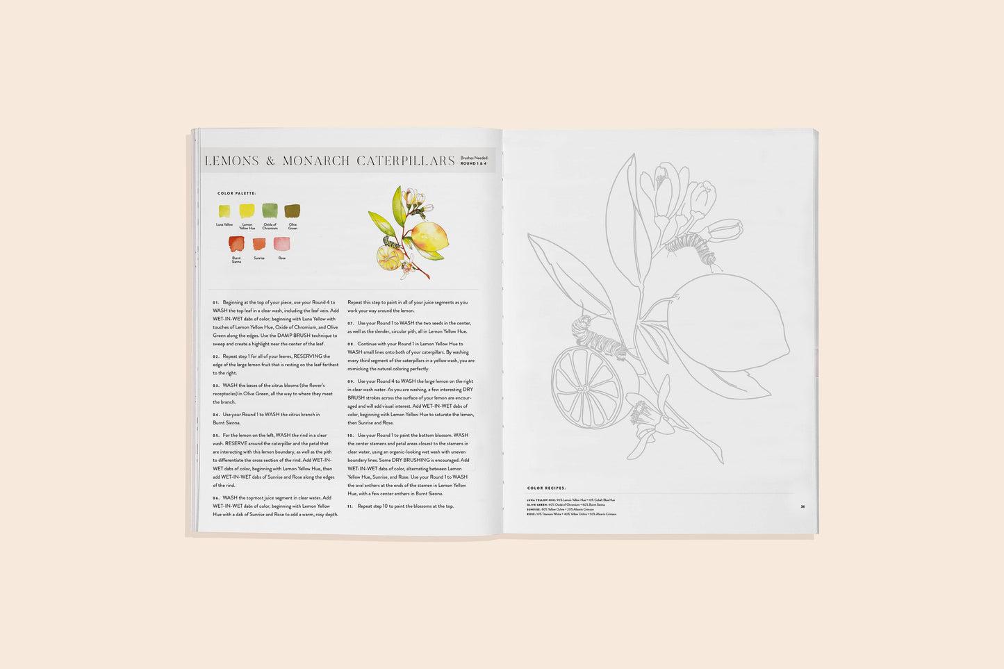 animal watercolor workbook, watercolor animals book, Sarah Simon watercolor guide, beginner watercolor animals, paint-in watercolor workbook, watercolor painting for adults, floral animal art projects, nature watercolor practice, watercolor feathers and flowers, easy watercolor animals