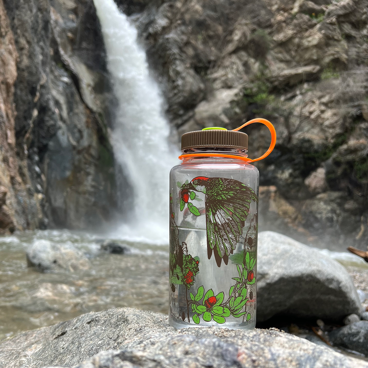 Mustard Beetle Water Bottles