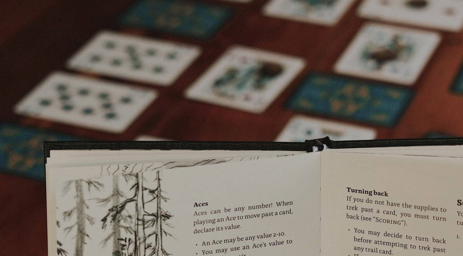 Board & Card Games