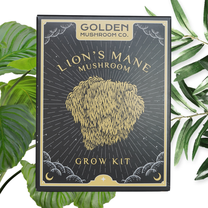 Golden Mushroom Co - Lion's Mane Mushroom Grow Kit