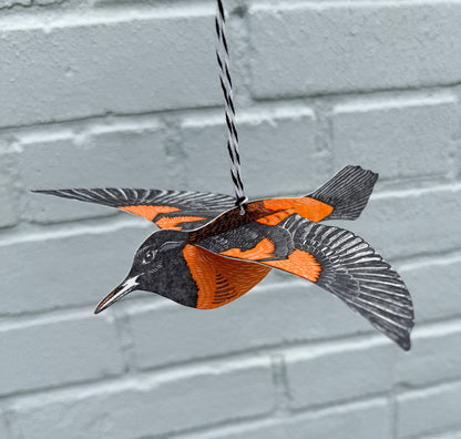 Oriole Pop-Out Bird, Letterpress Greeting Card