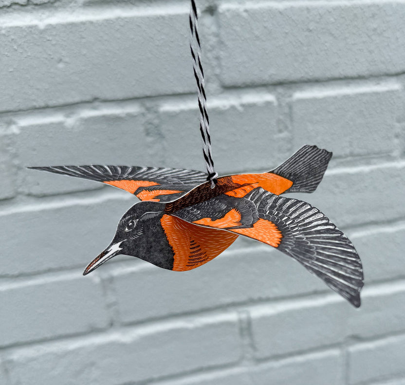 Oriole Pop-Out Bird Letterpress Greeting Card