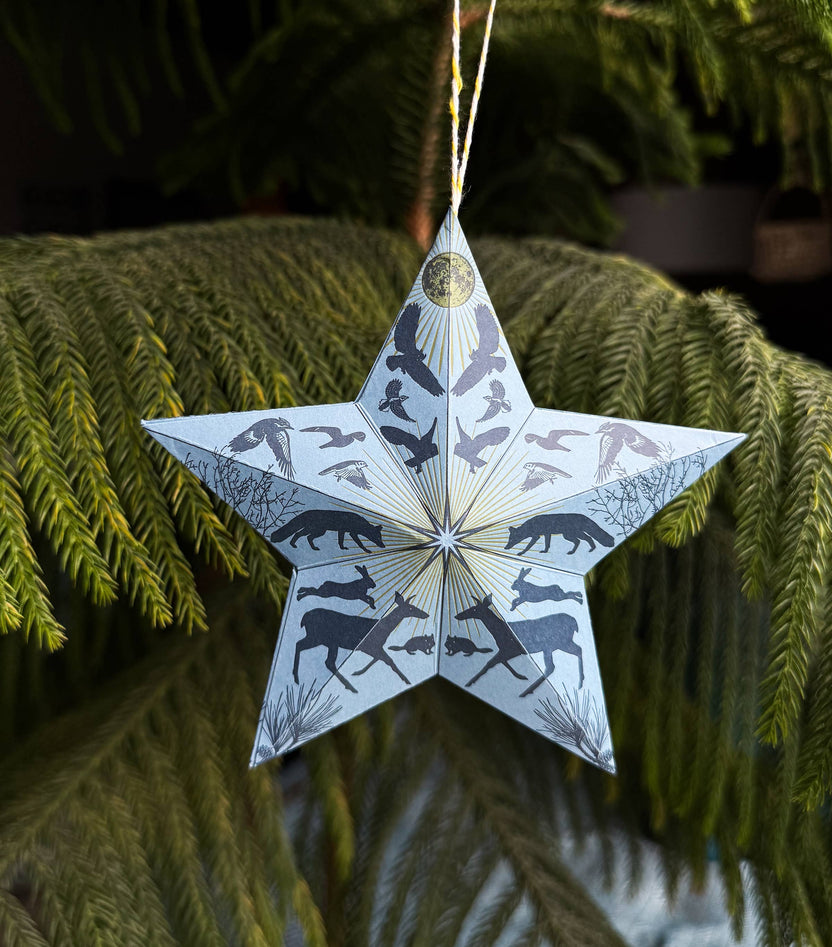 Holiday Solstice Star DIY Paper Ornament Kit