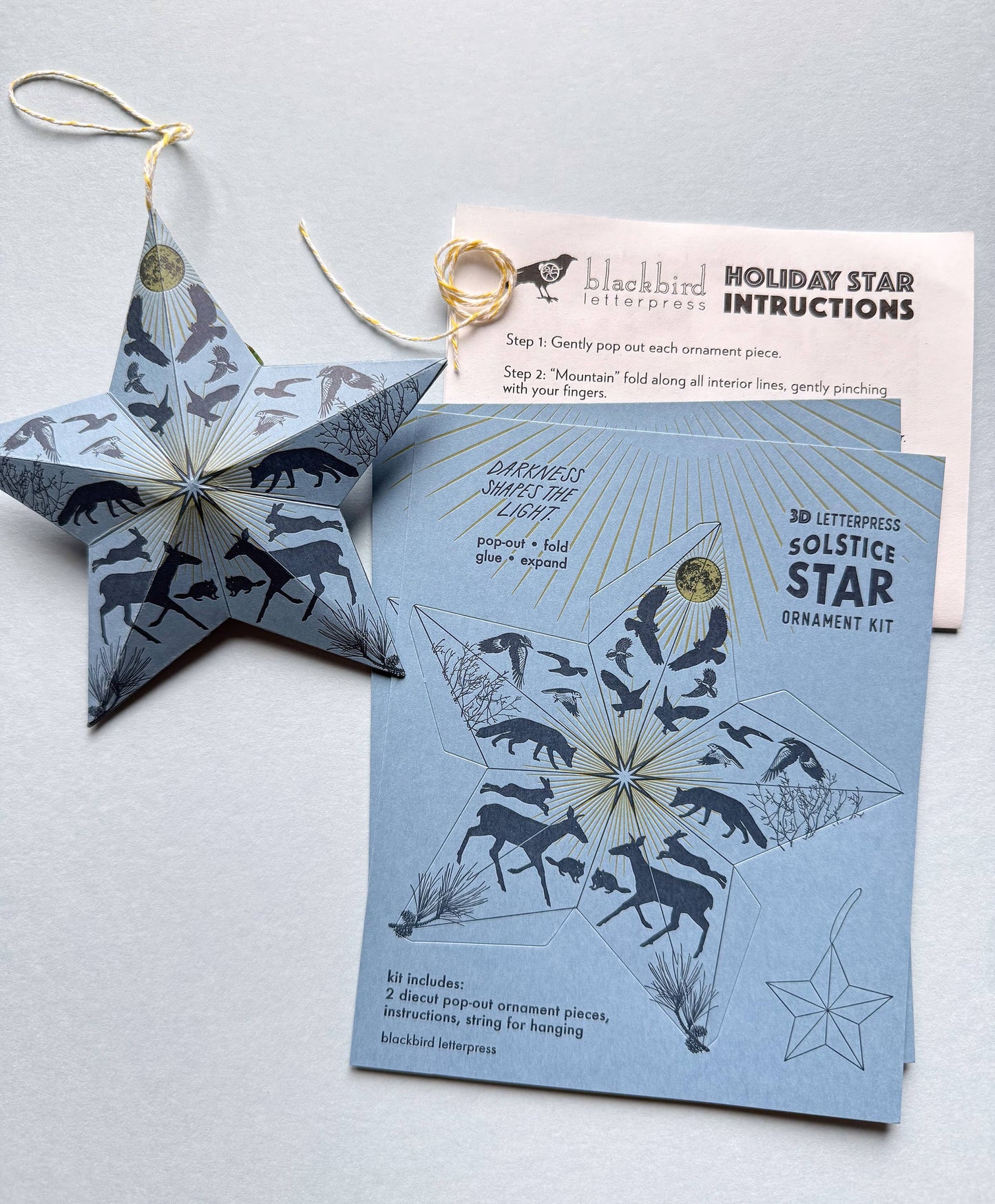Holiday Solstice star DIY ornament kit