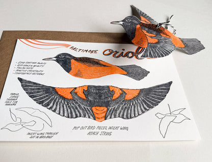 Oriole Pop-Out Bird, Letterpress Greeting Card