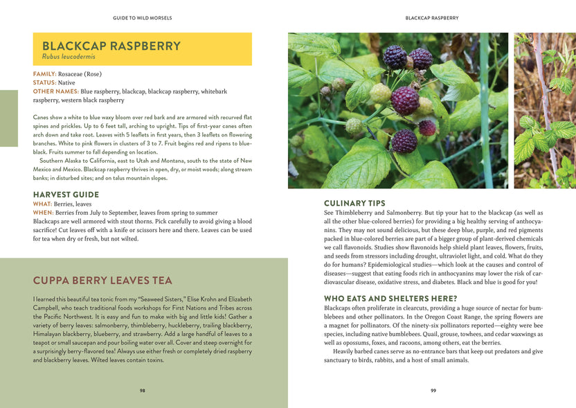 pacific harvest foraging guide, northwest coast edible plants, jennifer hahn foraging book, coastal foraging pacific northwest, wild food recipes northwest, edible seaweeds and beach greens, mushroom and berry foraging, sustainable wild harvesting book, coastal edible plant identification, foraging book with recipes, shellfish foraging guide, wild food cookbook, pnw foraging manual, edible species field guide, northwest foraging with photos