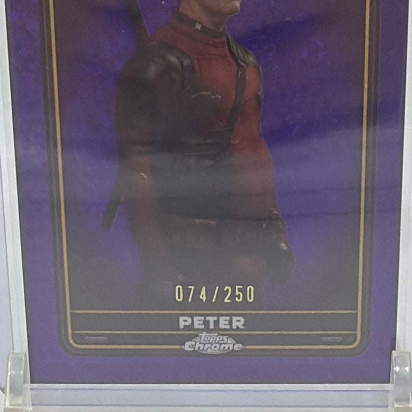 Detail of Peter #23 Purple Wave showing the 074/250 serial number