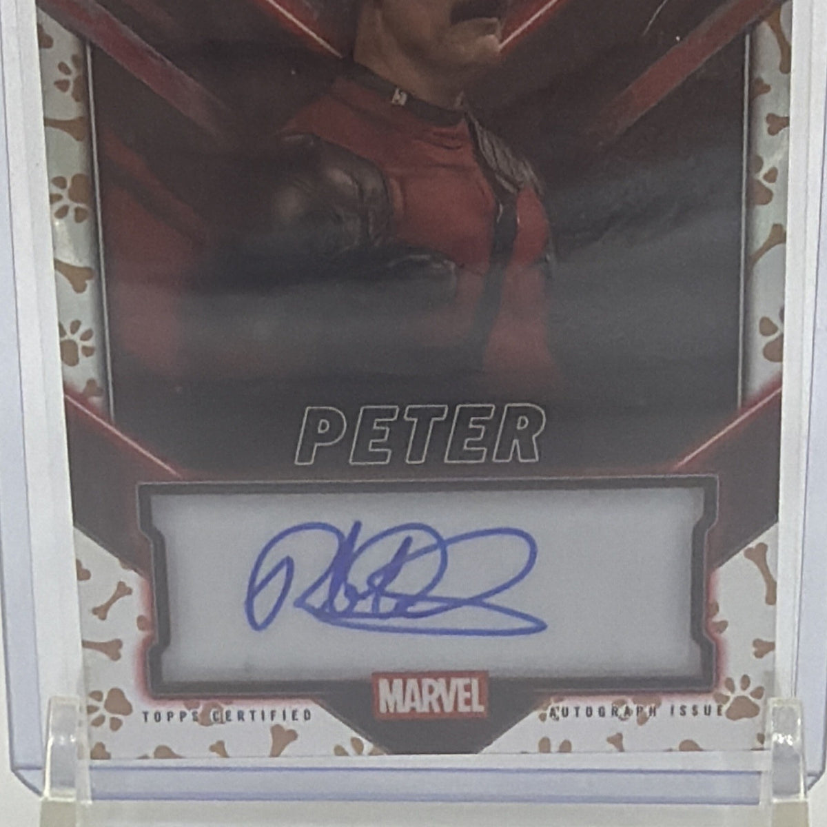 Close-up of Rob Delaney's blue autograph on Peter #TC-RB