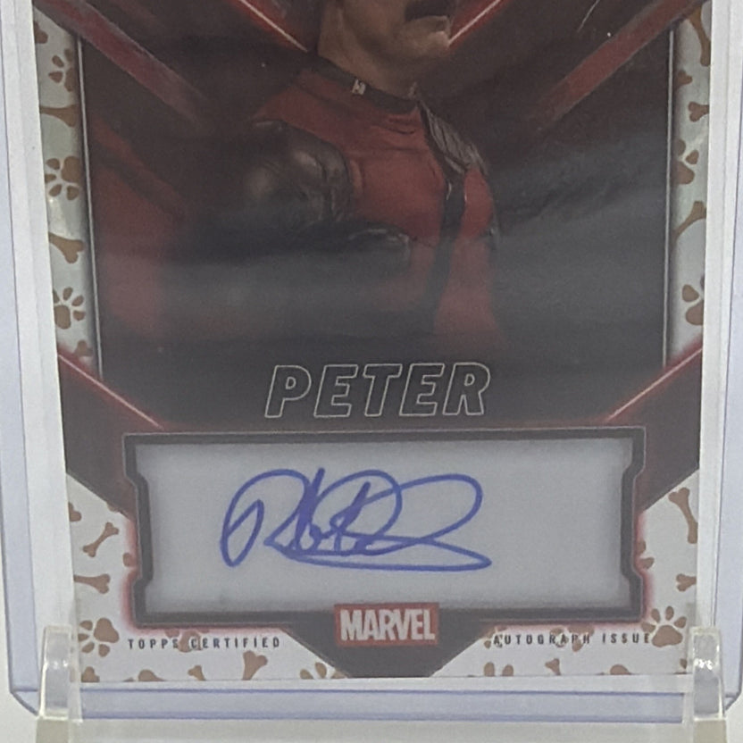 Close-up of Rob Delaney's blue autograph on Peter #TC-RB