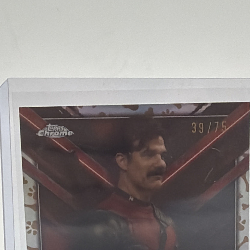 Front detail of Rob Delaney as Peter on Topps Chrome Deadpool Dogpool Refractor #TC-RB