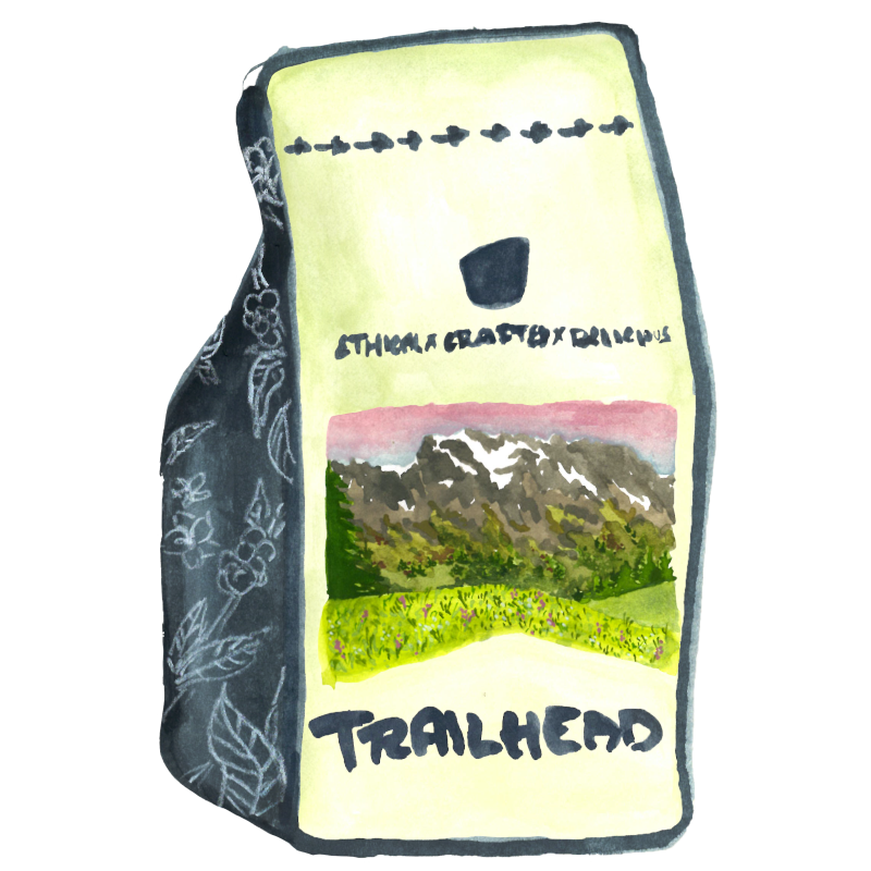 Provisions, Medium Roast -12oz whole bean