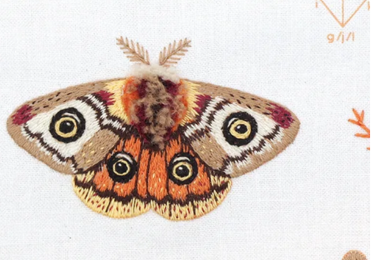 Moth Embroidery Stitch Sampler
