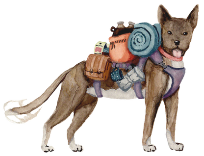 Guatemala, Medium -12oz whole bean