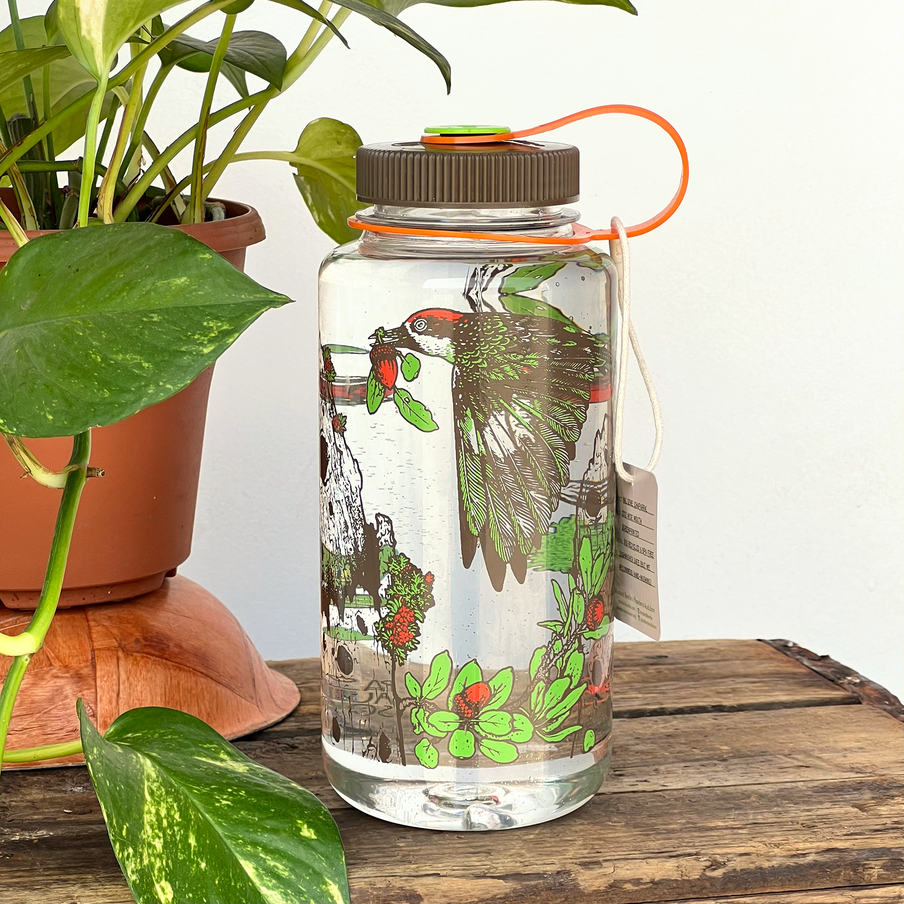 Mustard Beetle Chaparral Nalgene, Audubon Nalgene collaboration, chaparral illustration water bottle, limited edition 32oz Nalgene, recycled plastic Nalgene bottle, opaque white Nalgene red lid, eco-friendly wide mouth bottle, BPA free Nalgene USA made, artist illustrated Nalgene water bottle, Elizabeth Jean Younce design, nature inspired hydration bottle, Audubon artist collaboration bottle, botanical and wildlife illustration Nalgene, functional art water bottle, collectible artist Nalgene 32oz, chaparral