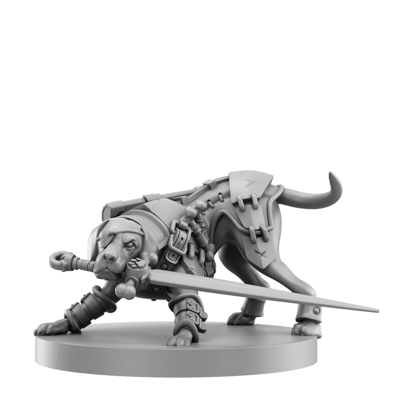 Animal Adventures RPG Starter Set, Animal Adventures roleplaying game, beginner RPG starter set, tabletop RPG starter kit, RPG for beginners, learn to play roleplaying games, easy RPG rules, starter set with miniatures, dog miniatures tabletop RPG, cat miniatures tabletop RPG, 2 to 8 player RPG, cooperative storytelling game, campaign in a box RPG, gamemaster screen included, double sided RPG map, character sheets included, dice included RPG set, family friendly RPG starter, gateway to Dungeons and Dragons,