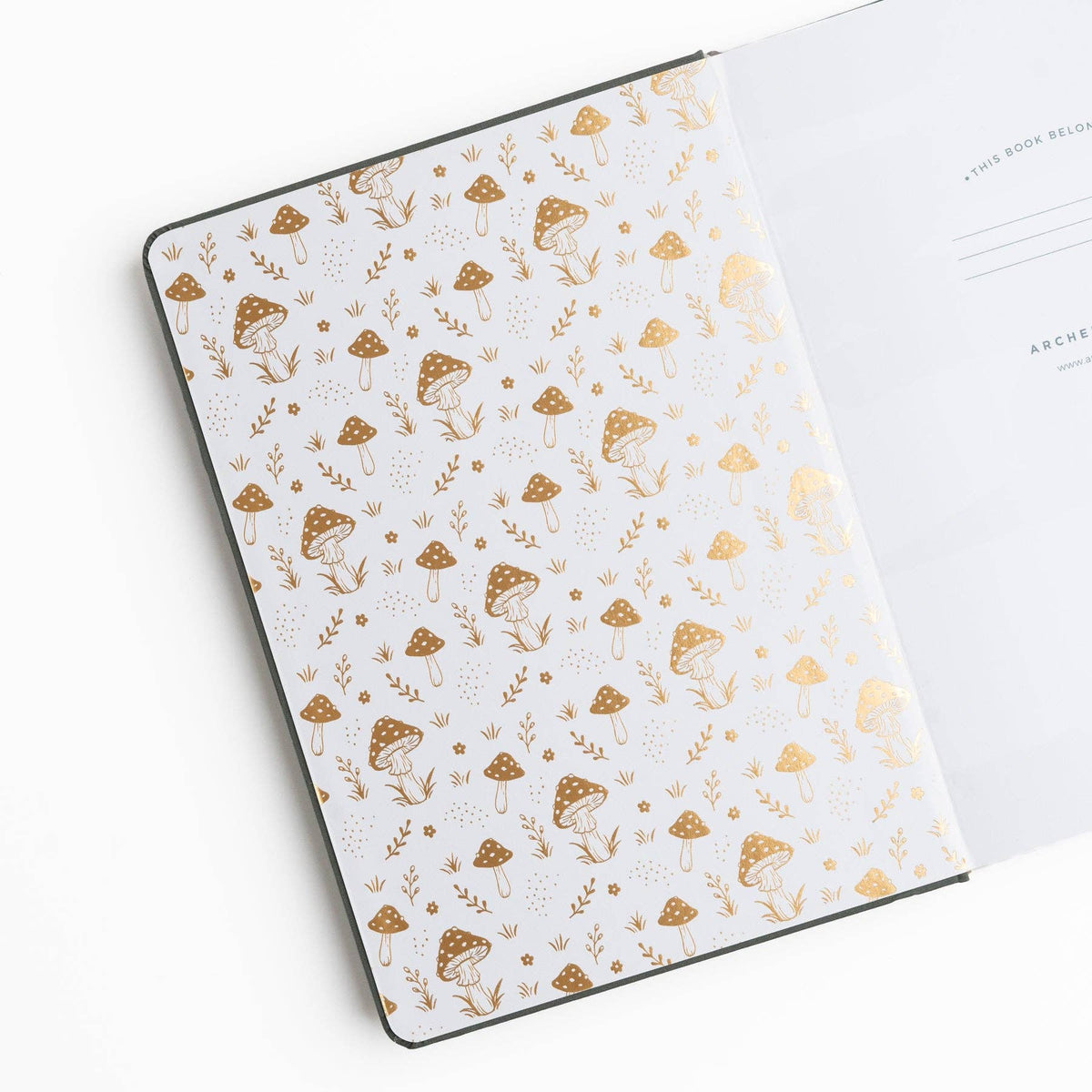 Archer and Olive Mushrooms journal open to illustrated mushroom endpaper and white pages