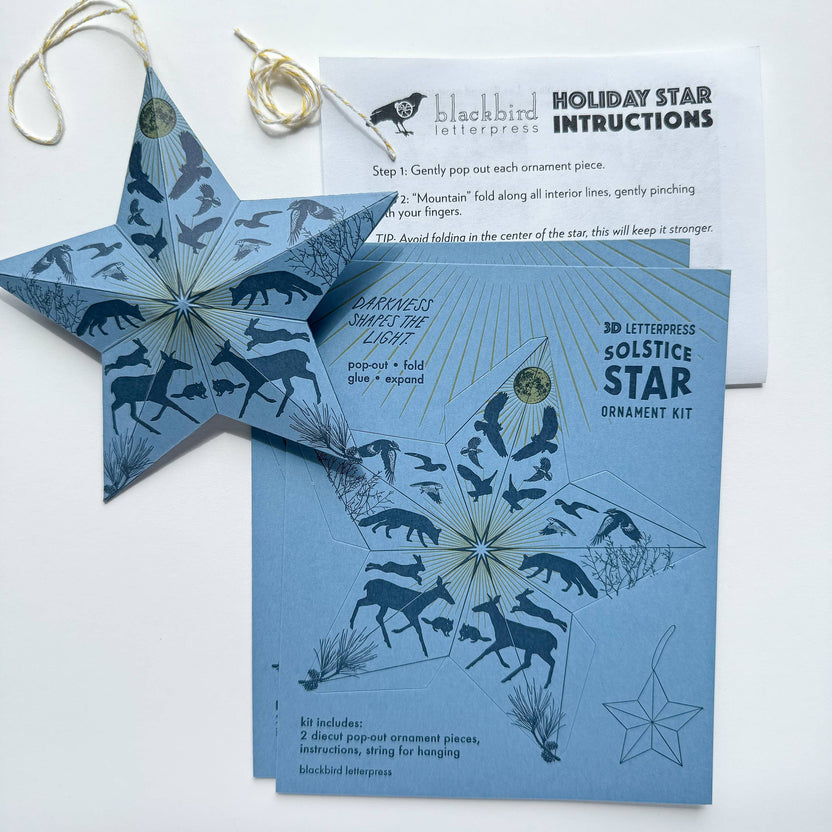 Holiday Solstice Star DIY Paper Ornament Kit