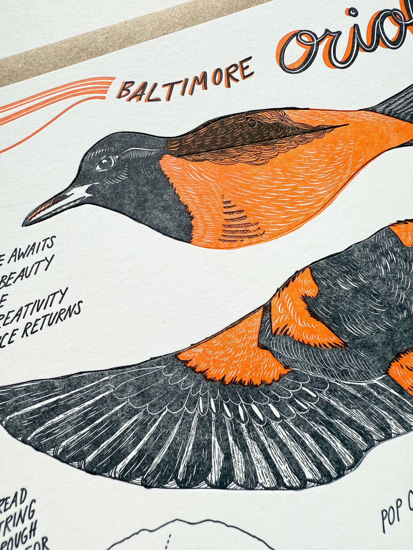 Oriole Pop-Out Bird, Letterpress Greeting Card