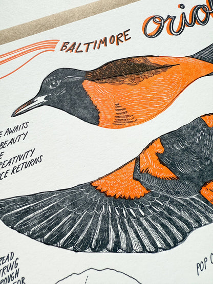 Oriole Pop-Out Bird, Letterpress Greeting Card